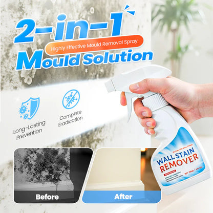 🔥Highly Effective Mould Removal Spray
