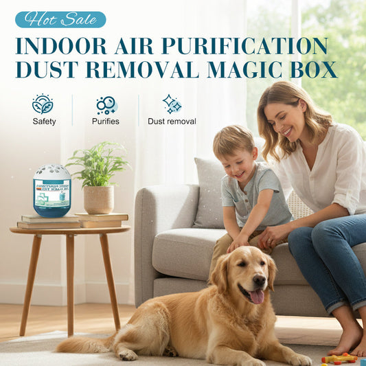 ⏰Indoor Air Purification Dust Removal Magic Box🏠Bringing health to the family.